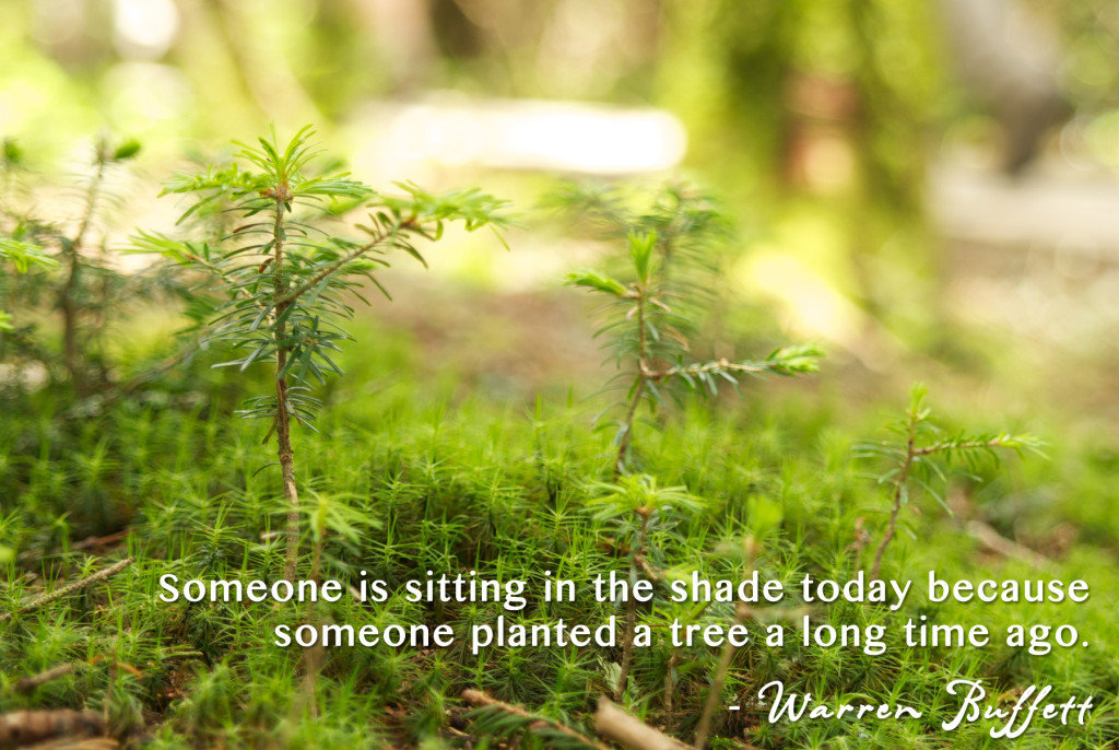 Someone is sitting in the shade today because someone planted a tree a long time ago.